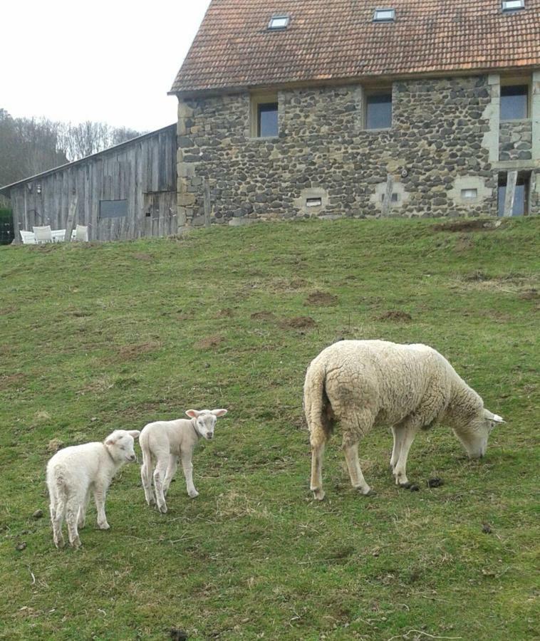 Le Bon Air Est Dans Le Pre Champagnac (Auvergne) Exterior foto